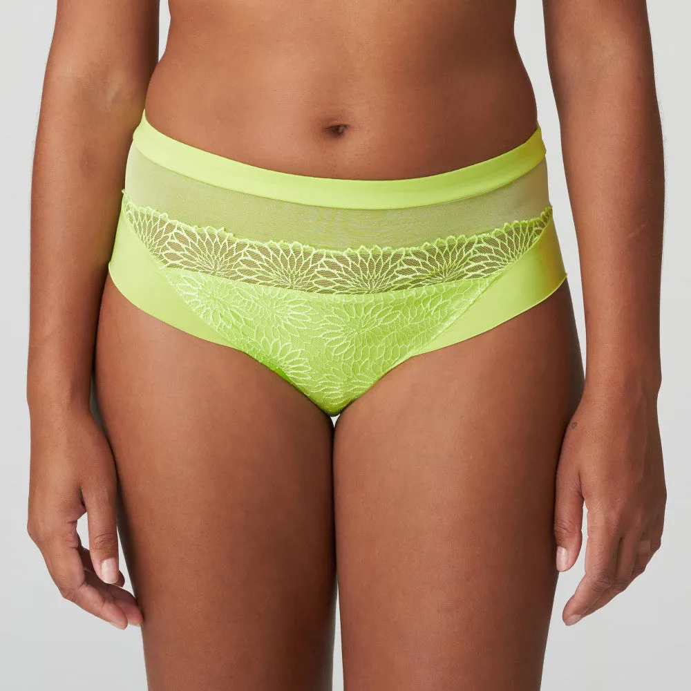 Sophora Full Brief